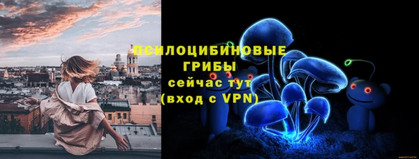прущие крисы Армянск