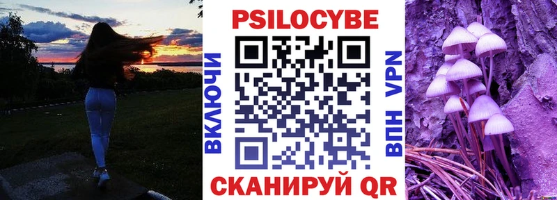 Псилоцибиновые грибы GOLDEN TEACHER  omg онион  Ак-Довурак  наркотики 